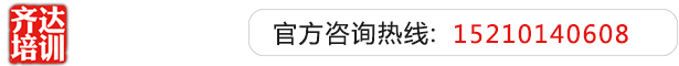 中国农村人操逼齐达艺考文化课-艺术生文化课,艺术类文化课,艺考生文化课logo